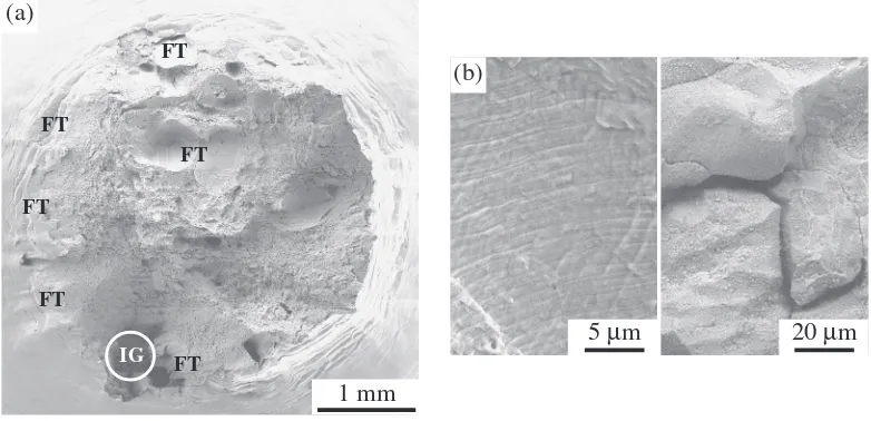 Fig. 12Fractographs of the weld interface specimens after the CERT tests: (a) macro-fracture view of the specimen tested at a fast rate;(b) macro-fracture view of the specimen tested at a slow rate; (c) intergranular (marked IG in (b)) fracture associated 