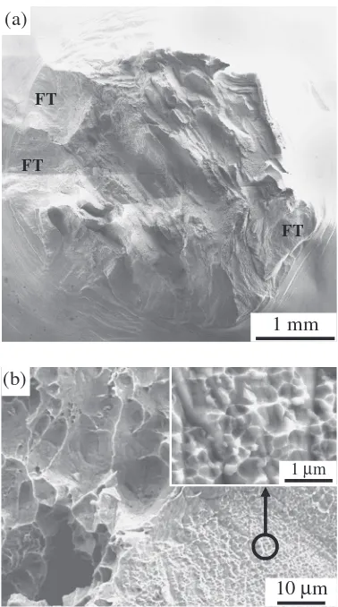 Fig. 14Fractographs of the specimen with a notch located in the undilutedweld metal after a slow extension tensile test: (a) macro-fracture view; and(b) ductile fracture containing diﬀerent dimple sizes.