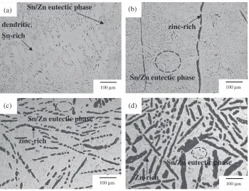 Fig. 2Microstructural features of Sn-xZn solders of (a) Sn-7Zn, (b) Sn-9Zn, (c) Sn-20Zn, and (d) Sn-30Zn alloys.