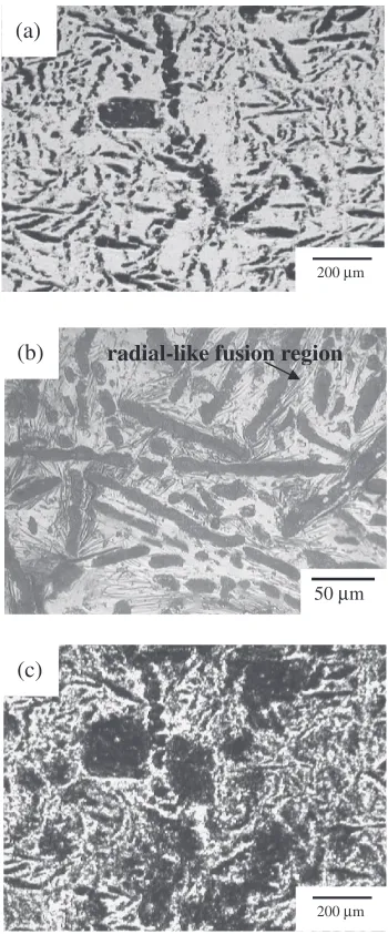 Fig. 6Microstructural evolution of Sn-30Zn solders: (a) as-cast, (b) and(c) show the heat-aﬀected zone and in-situ examination of ﬁgure (a) under75% of CFCD.