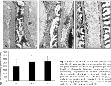 Fig. 2. Effect of vitamin C on renal MDA in diabetic rats.Valuesdiabetic rats; D + VC, diabetic rats treated with vitaminaremeans ± SD.Valuesaremeans ± SD.D,C; C, non-diabetic control rats