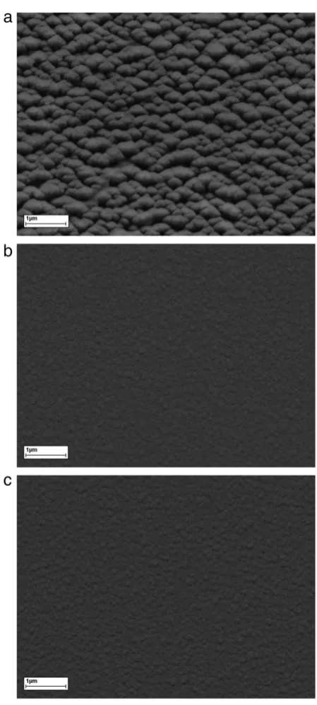 Fig. 2. SEM image of DLC at (a) top of the vertical sample, (b) middle of vertical sample and(c) horizontal sample.