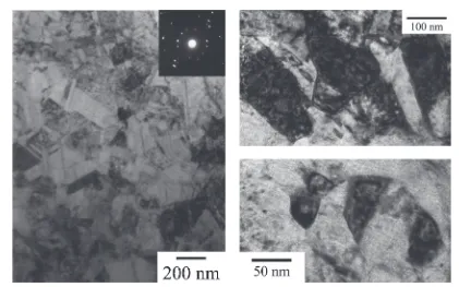 Fig. 5Bright ﬁeld TEM image and corresponding diﬀraction patterns of sample F fabricated by a sulfamate bath.