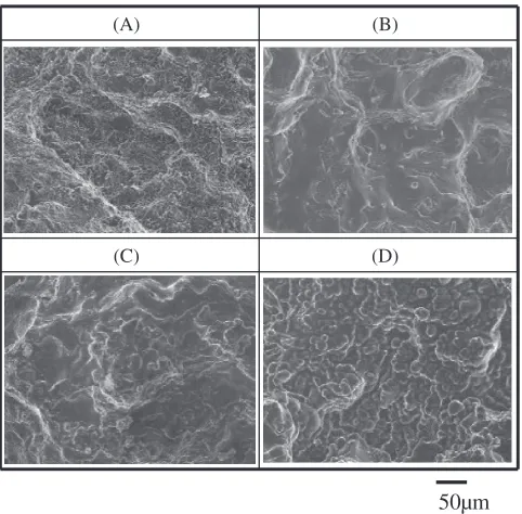 Table 3 shows whether solidiﬁcation cracks occurred or