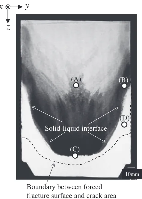 Fig. 3Sump shape of DC cast crack using Al-10%Zn tracer addition. (A)–(D) are the SEM observation positions in Fig