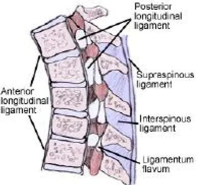 Figure 4 : Structures pierced 