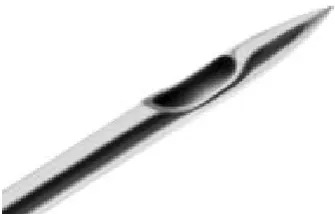 Figure 13 : Sprotte Needle 