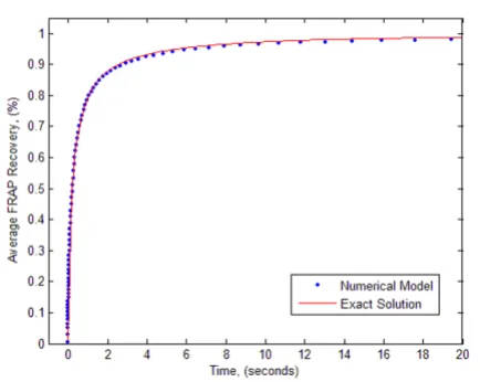 Figure 1Validation of the numerical model with analytical solution
