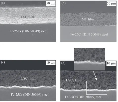 Fig. 3(a) SEM cross-section micrograph and (b) EDS line scan images across the multilayer Fe-25C/MC interface, along the black linein (a).