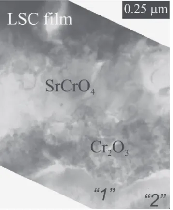 Fig. 6TEM cross-section micrograph of the multilayer metal/oxideinterface between the LSC coating and the Fe-25Cr substrate.