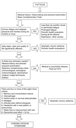 Figure 1Diagnostic protocol for patients with suspected CFSDiagnostic protocol for patients with suspected CFS.