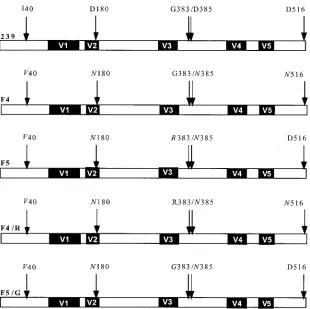 FIG. 3. Analysis of CD4-gp120 binding in ELISA. Soluble gp120 proteins 239, F4, mutated F4 with G383 replaced by R (F4/R), F5, andmutated F5 with R383 replaced by G (F5/G) were tested for their ability to bind CD4 in an ELISA performed as described in the 