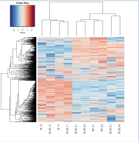 Figure 8. Variable comparison of the “overall top genes” that are differentially expressed in VSV-infected L929 cells (ProteinCT)