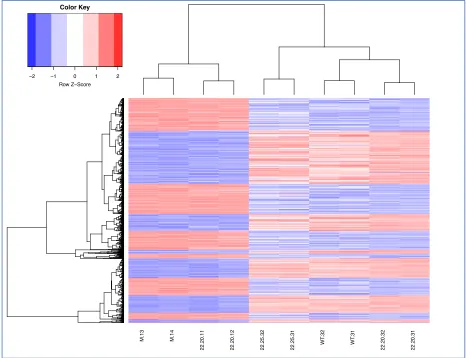 Figure 9. Variable comparison of the top 1500 genes that are differentially expressed in VSV-infected L929 cells (RIT Internal Analysis)