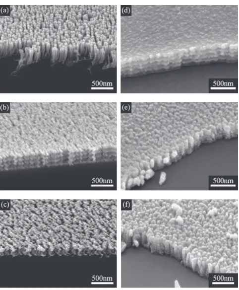 Fig. 4The SEM images of Fe thin ﬁlms prepared by GLAD with diﬀerentsubstrate angular velocity and diﬀerent incident angles