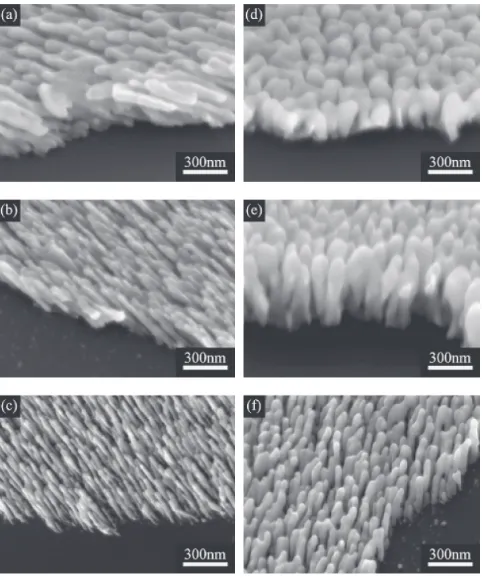 Fig. 6The SEM images of Ag thin ﬁlms prepared by GLAD at incidentangle of 85� with diﬀerent substrate temperature
