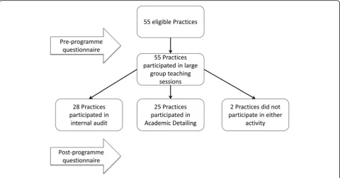 Fig. 1 Flow chart demonstrating intervention