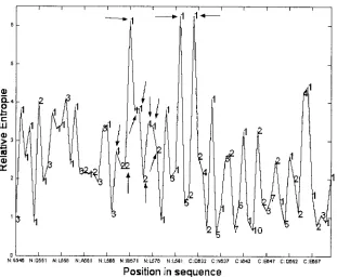 FIG. 7. Percentage of observed substitutions for the validated se-quence set that are predicted to be fold compatible by the FCD in the