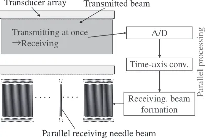 Fig. 10Concept of parallel needle beam testing.