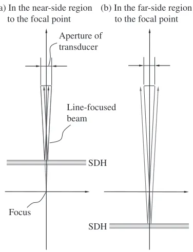 Fig. 17Comparison between reﬂected ultrasound from the SDH in theplane perpendicular to the arrayed direction (a) when the SDH is in thenear-side region to the focal point and that (b) when the SDH is in the far-side region to the focal point.
