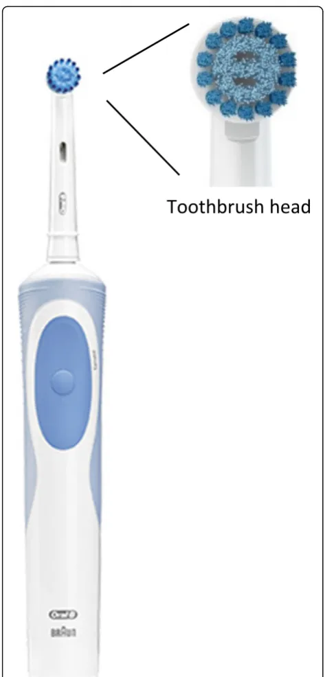 Fig. 2 oscillating-rotating powered toothbrush (Oral-B Vitality 2DSensitive Clean - Procter & Gamble)