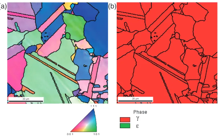 Fig. 4Initial microstructure of the CCMCN alloy after solution treatment at 1200�C for 300 s and followed by annealing at 1150�C for300 s