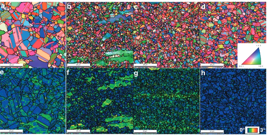 Fig. 9(a) TEM image of the sample deformed at T ¼ 1000�C, _" ¼ 30 s�1, at a true strain of 0.2, and (b) selected diﬀraction patterncorresponding to the selected area in (a).