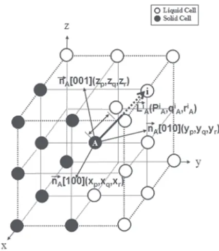Fig. 5Schematic diagram of the growth algorithm used in the CA model.