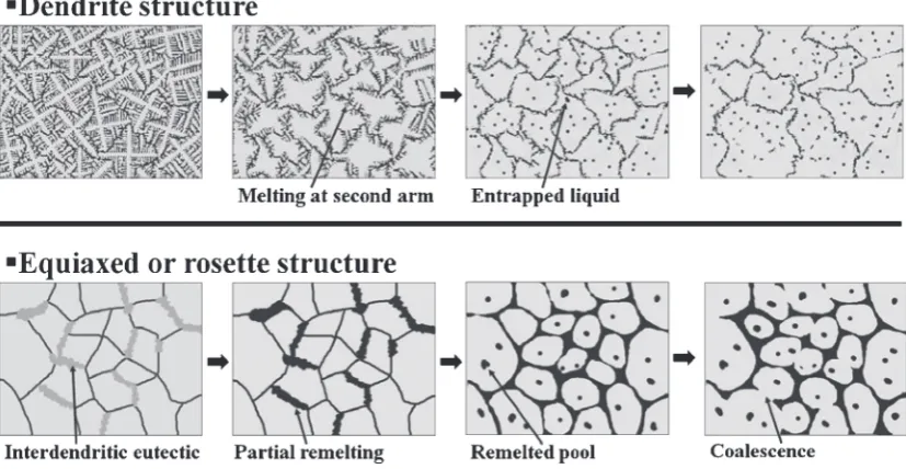 Fig. 8Proposed mechanism for the evolution of dendritic to globular structure when dendritic structures16) and rosette-type structuresfollowing reheating.
