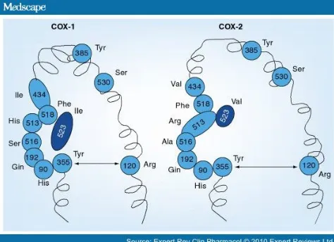 Fig 2A  : Shows the overlapping structure of COX-1 and COX-2  42 