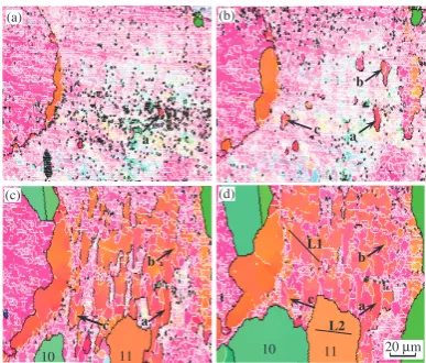 Fig. 1Changes in microstructures during annealing at 673 K for 60 s and240 s, (a) and (b), respectively, after cold-rolling at 30%