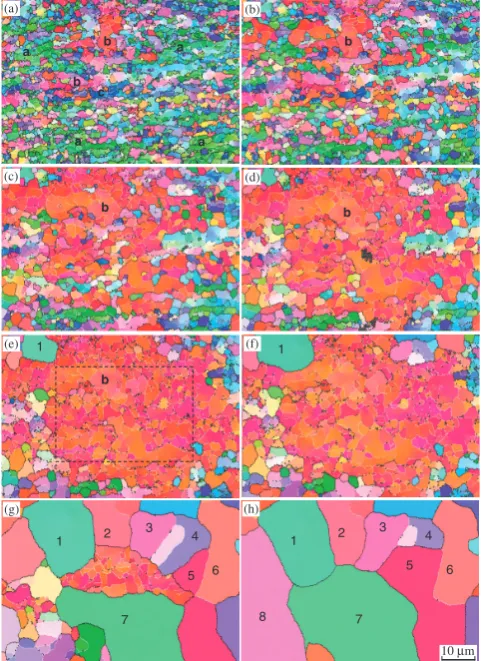 Fig. 9Assorted IQ map showing the whole view ﬁeld of the present studyafter annealing at 673 K for 120 s