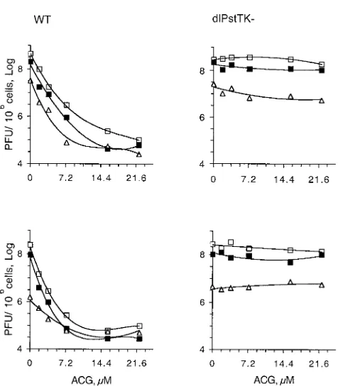 FIG. 2. The antiviral effects of P-PCIs and ACG, a conventionalantiviral drug, are additive