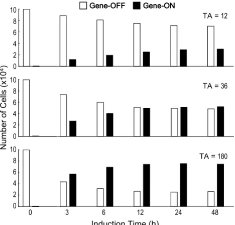 Figure 4protein expressionEffect of mRNA and protein half-lives on the dynamics of 