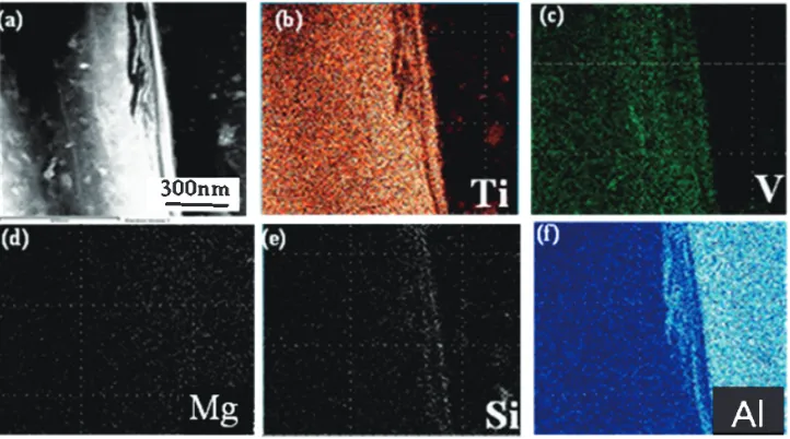 Fig. 10High angle annular dark ﬁeld image (a) and elements mapping result of probe root area; Ti (b), V (c), Mg (d), Si (e), Al (f).