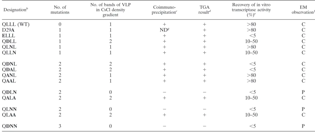TABLE 1. Characteristics of wild-type and mutated VP6a
