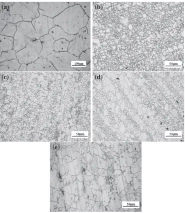 Fig. 3Average grain sizes of Mg alloy AZ31 at diﬀerent processing states.(A-annealed at 623 K for 2 h, H-homogenized at 673 K for 14 h and as-extruded at 623 K, 673 K, 723 K).