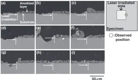 Fig. 3Backscattered electron images of the cross-sectional AZ31B anodized layer at the laser irradiated boundary after laser processing.(a) 1 kHz, (b) 5 kHz, (c) 10 kHz, (d) 25 kHz, (e) 50 kHz, (f) 75 kHz, (g) 100 kHz, (h) 150 kHz and (i) 200 kHz.