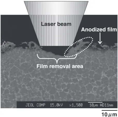 Fig. 9Cross-sectional SEM observation result of the anodized AZ91Dspecimen after the coating removal by laser irradiation.