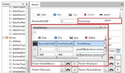 Fig. 25 The ProductCategory form after applying some 