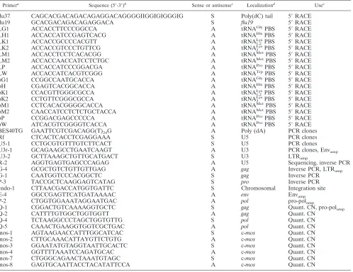 TABLE 1. List of primers with orientation, localization, and application
