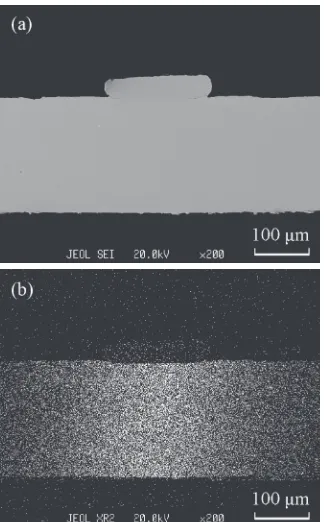 Fig. 12(a) SEM image of sample in Fig. 6(d) before etching, (b) elementSn distribution by EDS mapping.