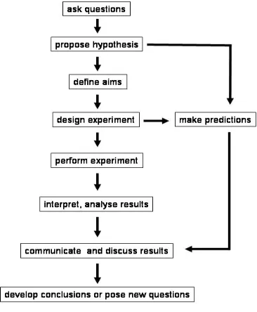 Figure 2 . Our own model to develop a reflective, iterative approach to the teaching and learning of scientific inquiry 