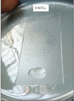 Figure 5: Thin-layer chromatography of acetone:1-butanol fraction of BIF52 in 85:15 ratio