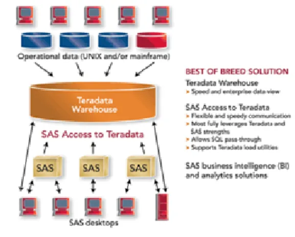 Figure 1. typical SAS / DB architecture 