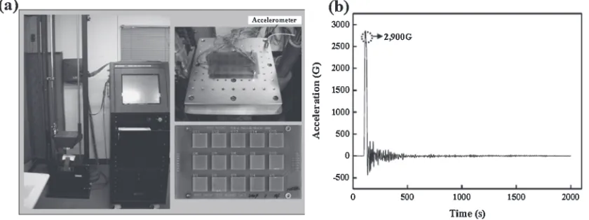 Fig. 2Drop test equipment (a) and acceleration condition (b).