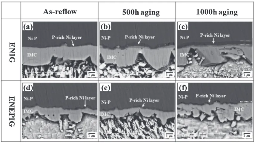 Fig. 3Cross-sectional SEM images of the solder joints after as-reﬂow and thermal aging: ENIG (a), (c), (e) and ENEPIG (b), (d), (f).