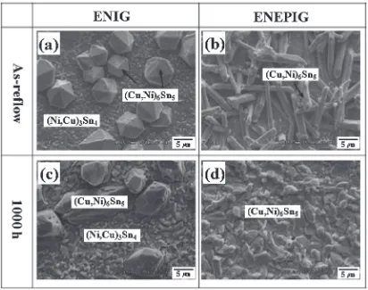 Fig. 6Top view SEM images of IMCs after preferential etching: as-reﬂow (a), (b) and after thermal aging at 1,000 h (c), (d).