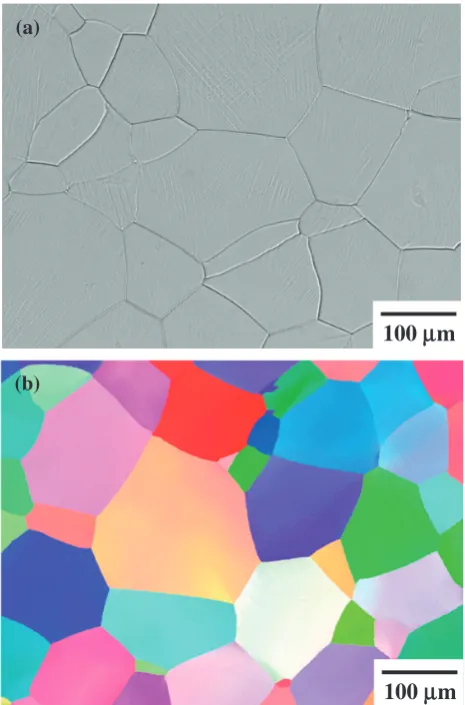 Fig. 9Microstructures of the specimen after being deformed to a tensilestrain of 4.0% in Ti-15Mo-5Zr-1Fe alloy