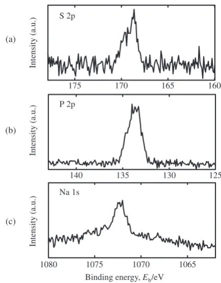Fig. 1SEM images of a substrate surface of an as-polished Ti sample, and after anodizing with surface roughness of Ra: (a) buﬀedsample, (b) polished with grid = #400, (1) as-polished, (2) anodized in H2SO4 at 100 V, (3) anodized in H2SO4 at 200 V, (4) anodized inH3PO4 at 100 V, (5) anodized in H3PO4 at 200 V, (6) anodized in NaOH at 80 V, and (7) anodized in NaOH at 200 V.